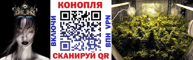 Бошки Шишки OG Kush  Суджа 